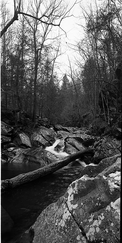 GoForth Creek