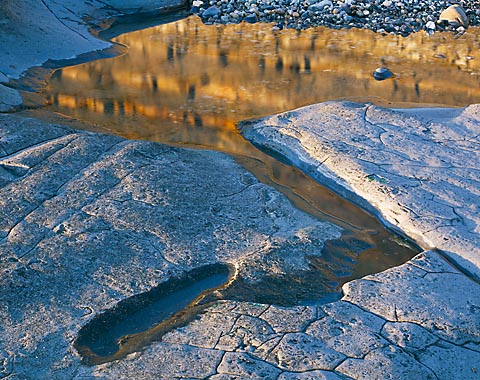 Golden Pool