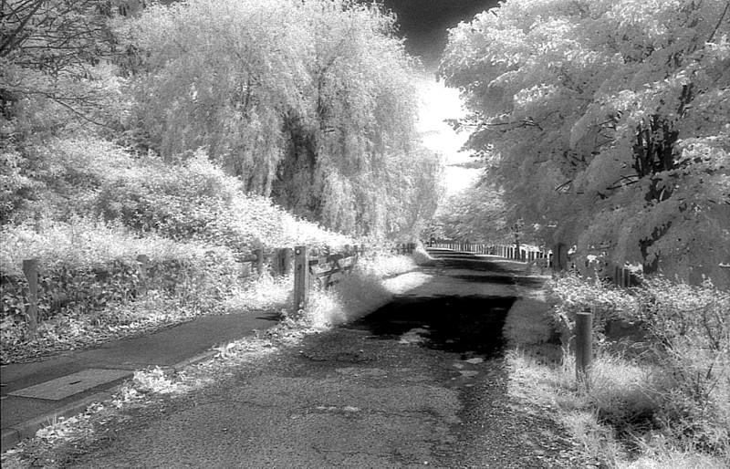 Goodbye HIE #1: St Mary's driveway.