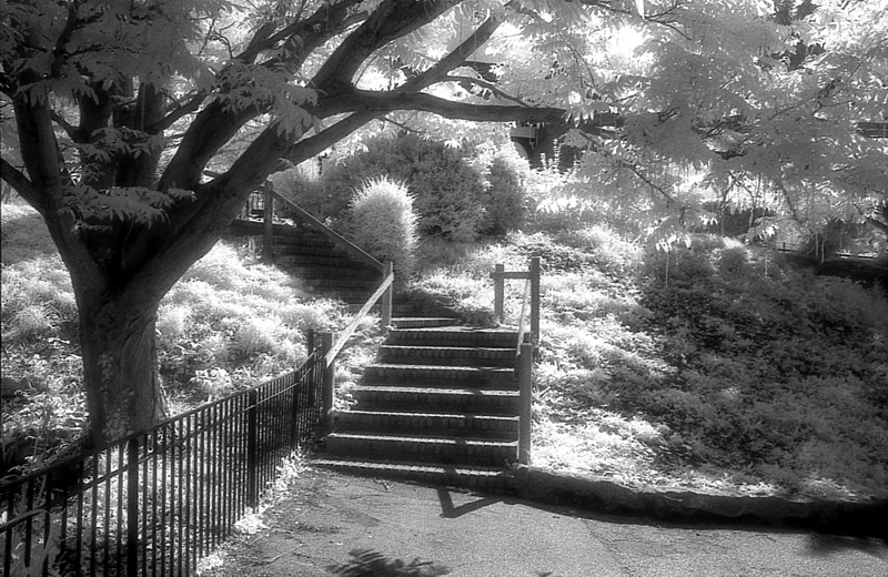 Goodbye HIE #2: Southchurch Hall