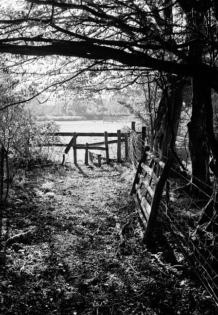 Goose Lane in Kent