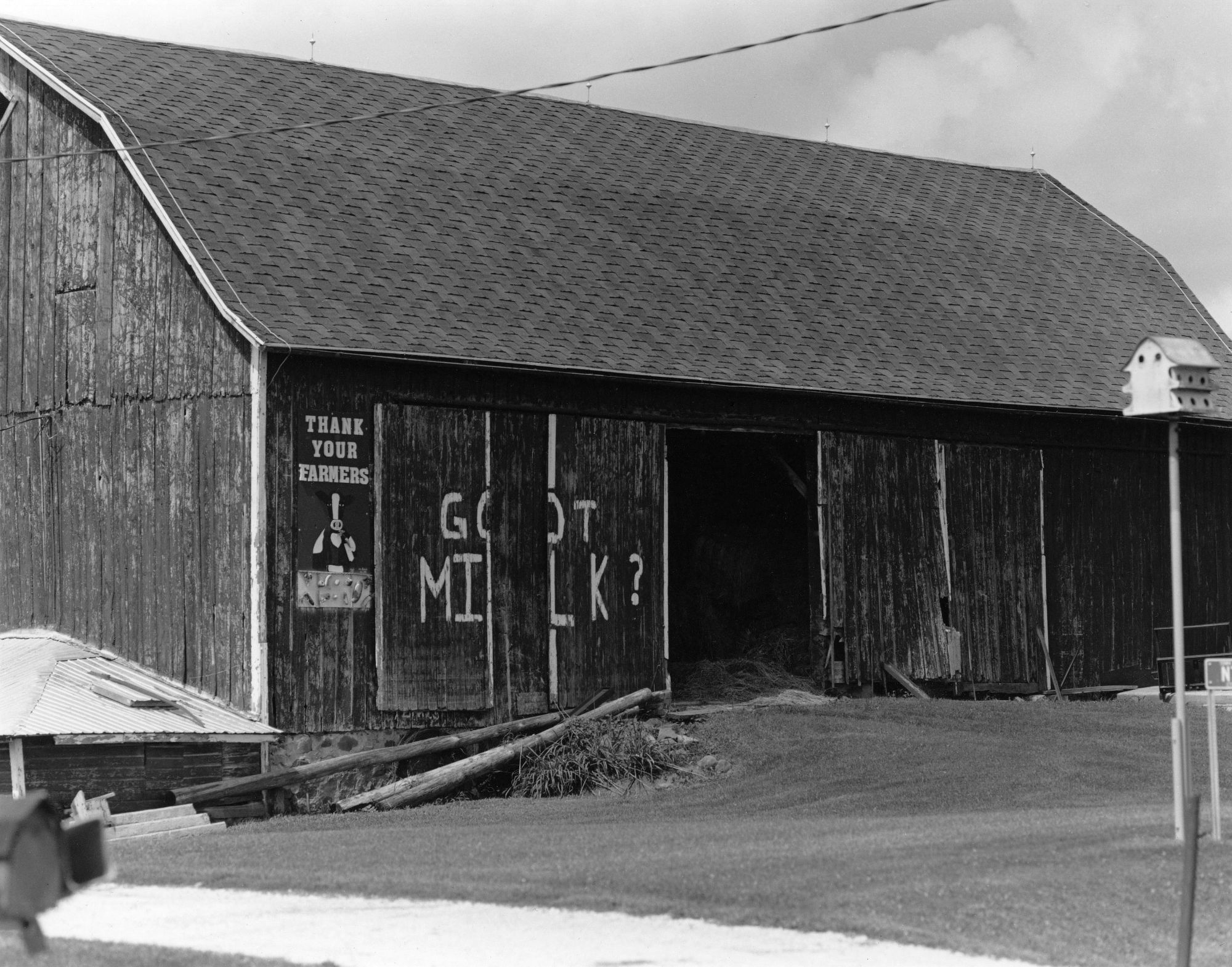 Got Milk?