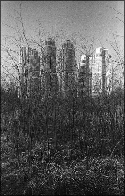 Gotham, Seoul