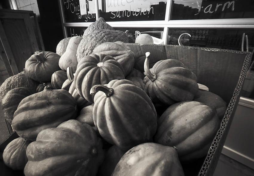 Gourds at Market