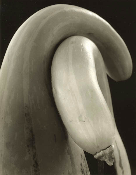 Gourds