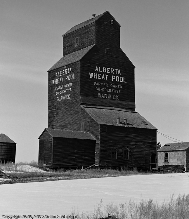 Grain Elevator at Warwick, Alberta