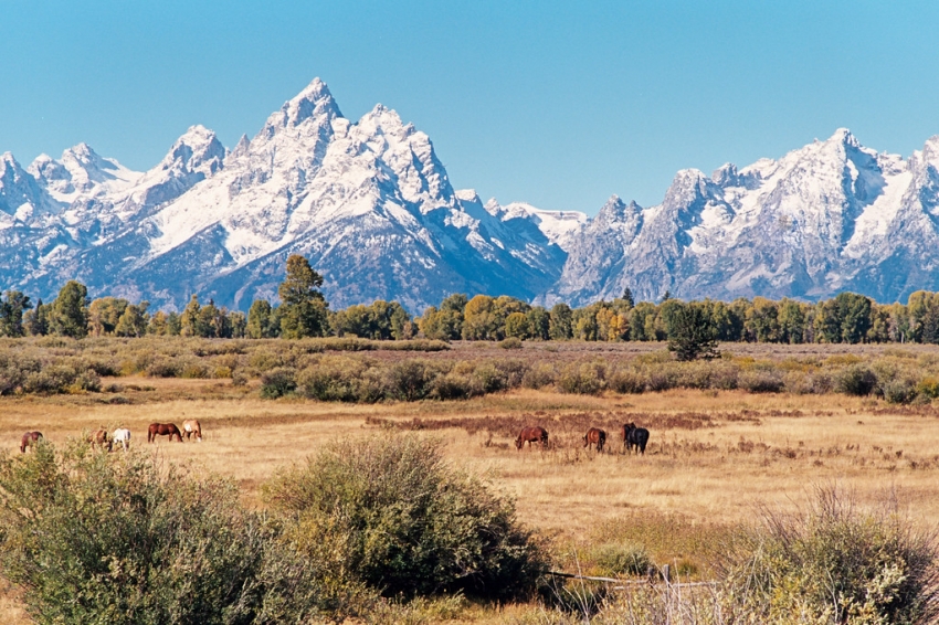 Grand Tetons