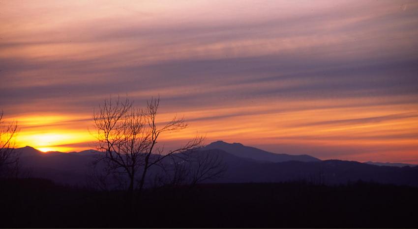 Grandfather Mt.