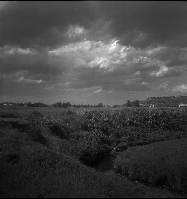 Grandson - Kodak Duaflex II first images