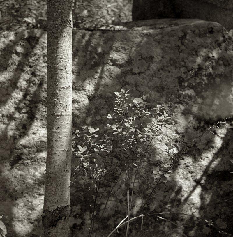 granite along the path