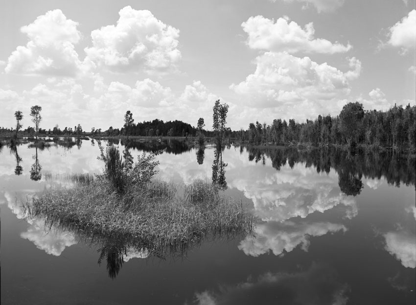 Grass Island