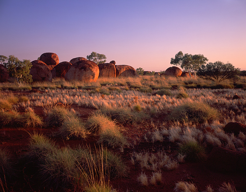 Grass Land and Rocks