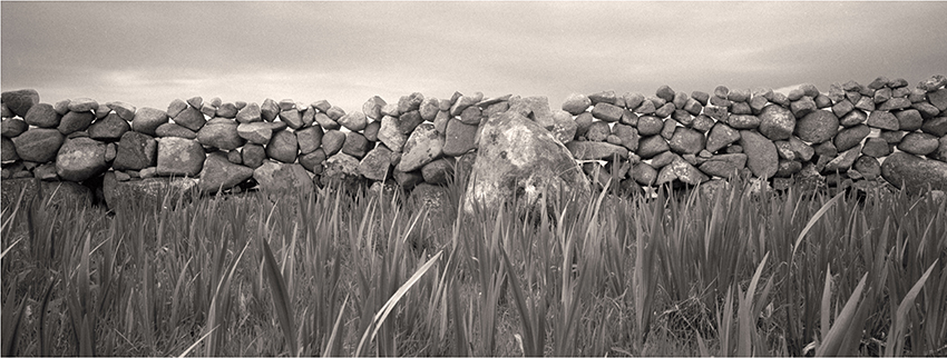 Grass ,Wall & Sky