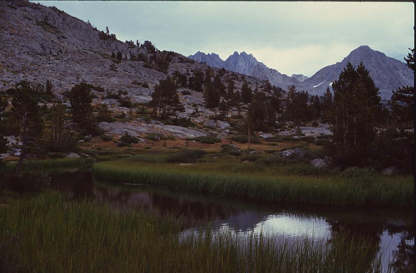 Grassy Edge of Dusy Basin