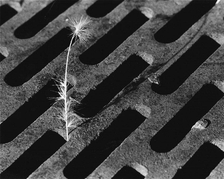 Grate Expectations