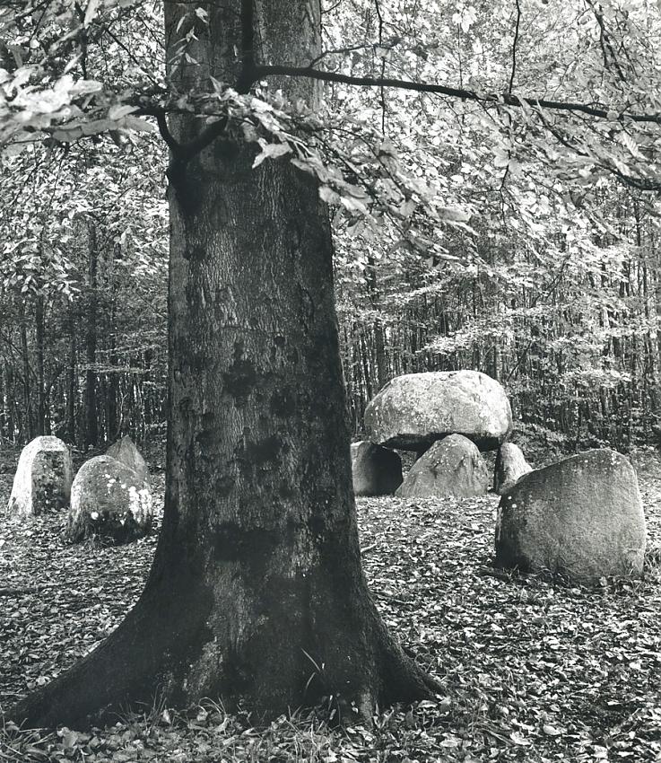 Grave from the past