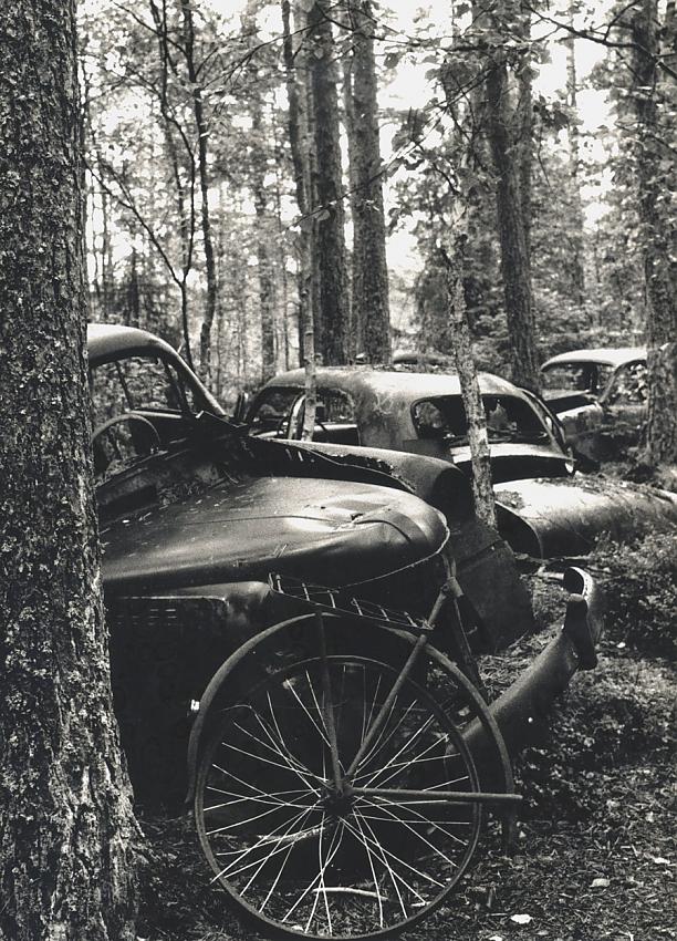 grave yard for cars