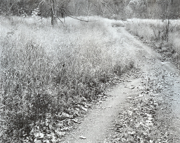 Gravel Road and Grasses