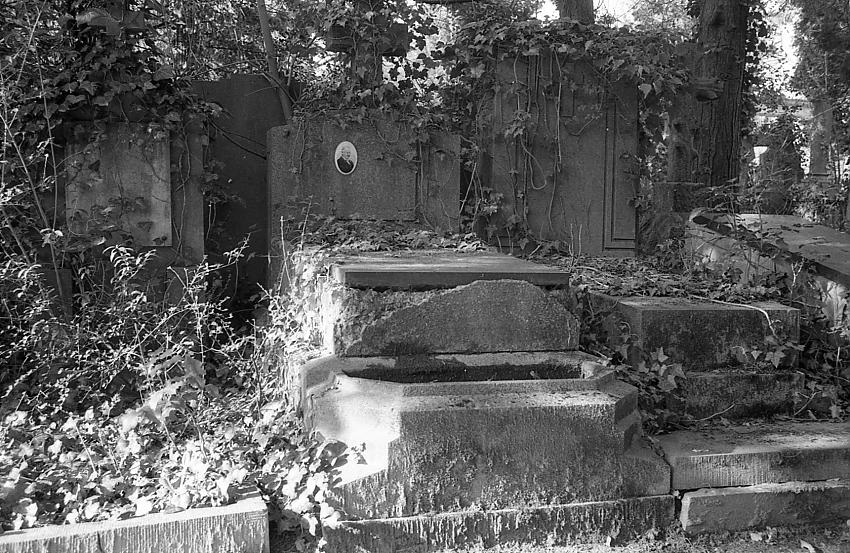 Graves
