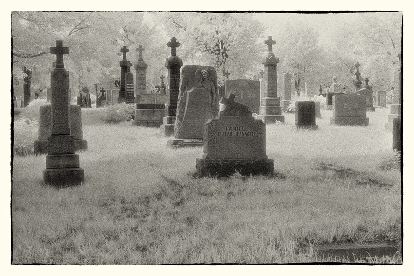 Graveyard in white 1