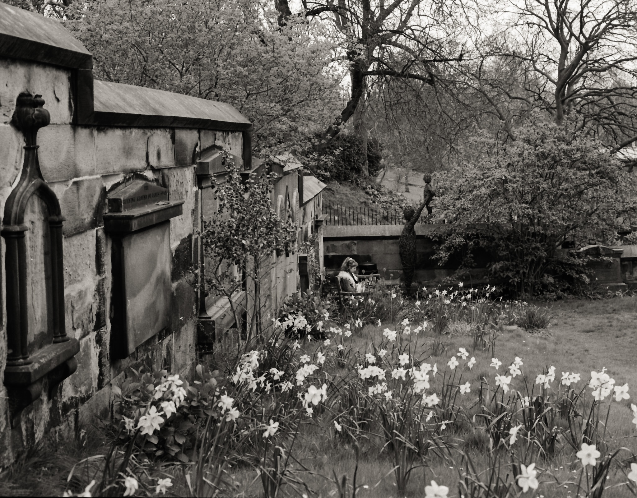 Graveyard