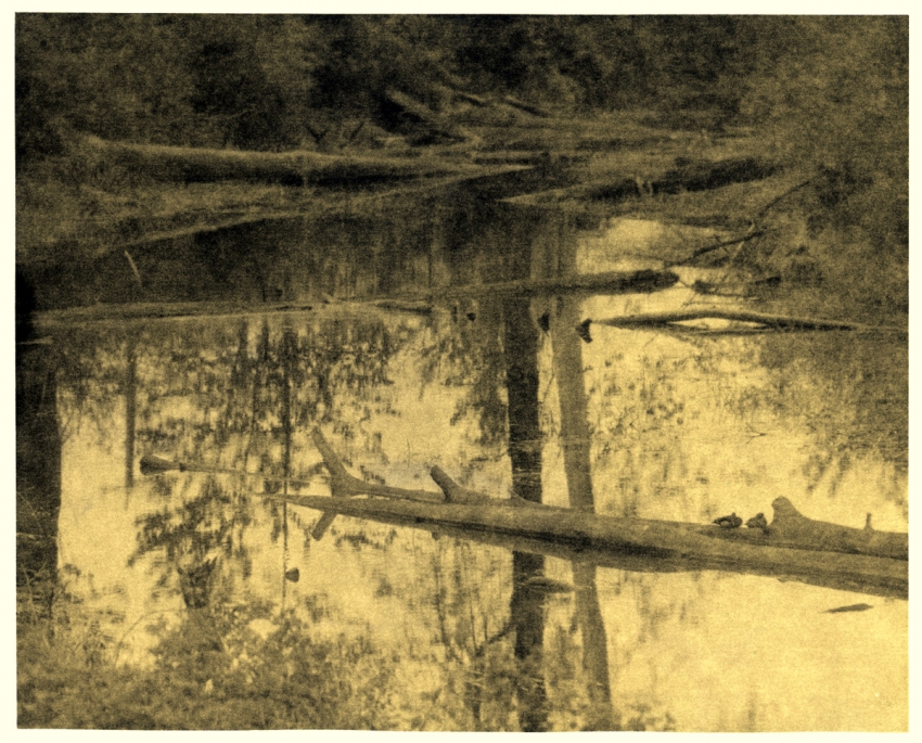 Great lith print.