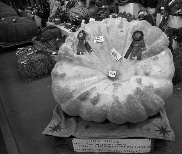 Great Pumpkin