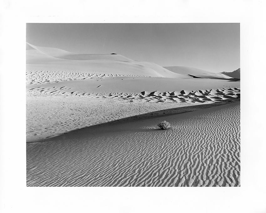 Great Sand Dunes, Co.