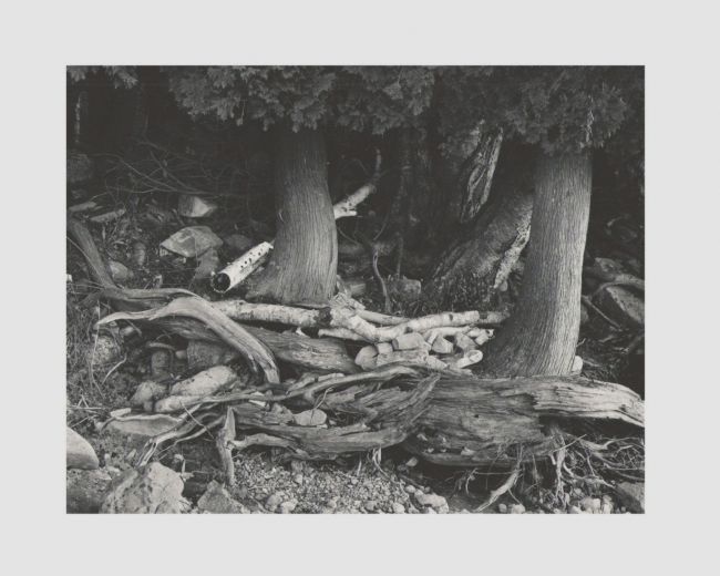 Green Bay coast, Door County Wisconsin