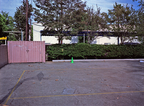 green cone