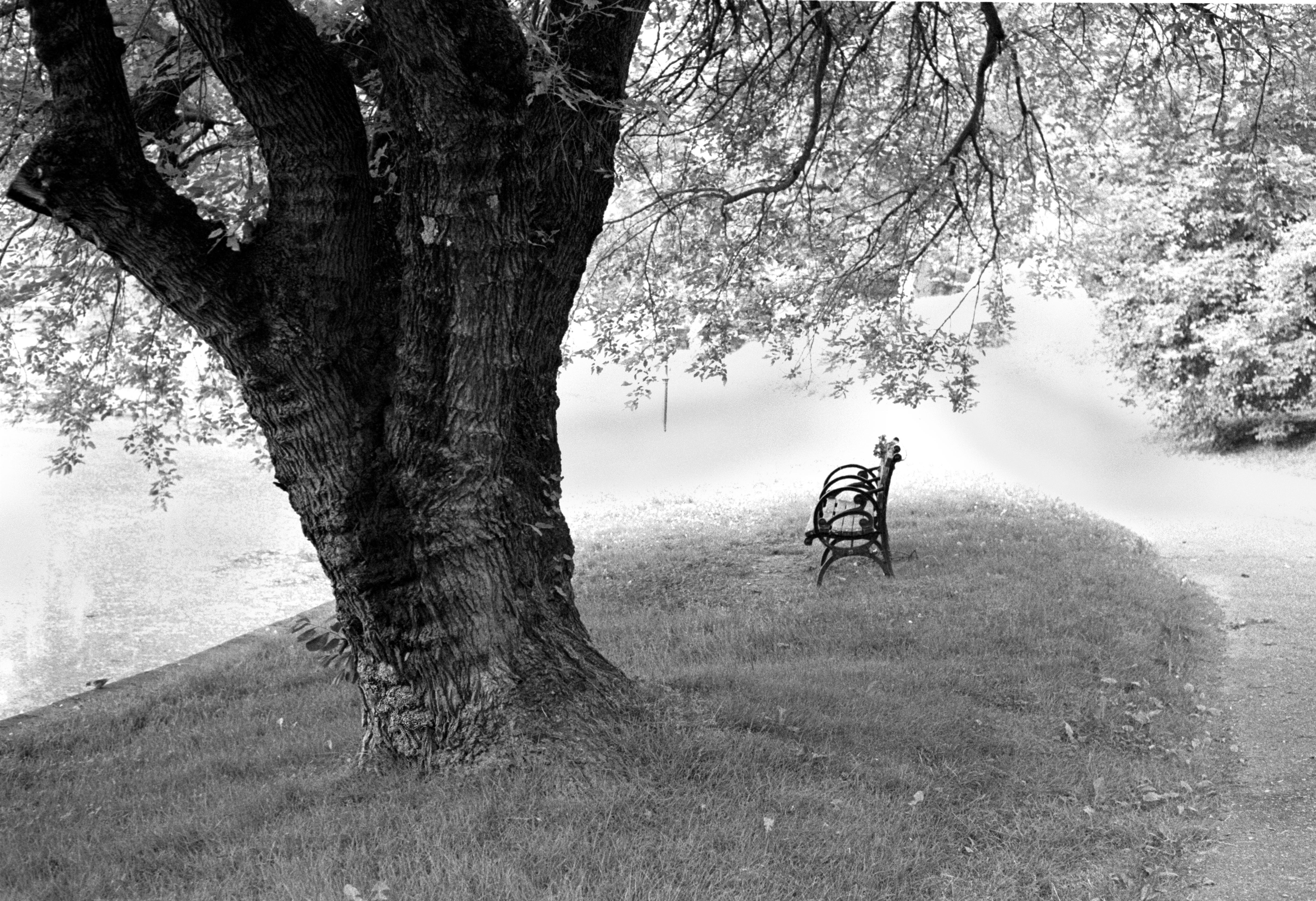 Green-Wood Cemetery