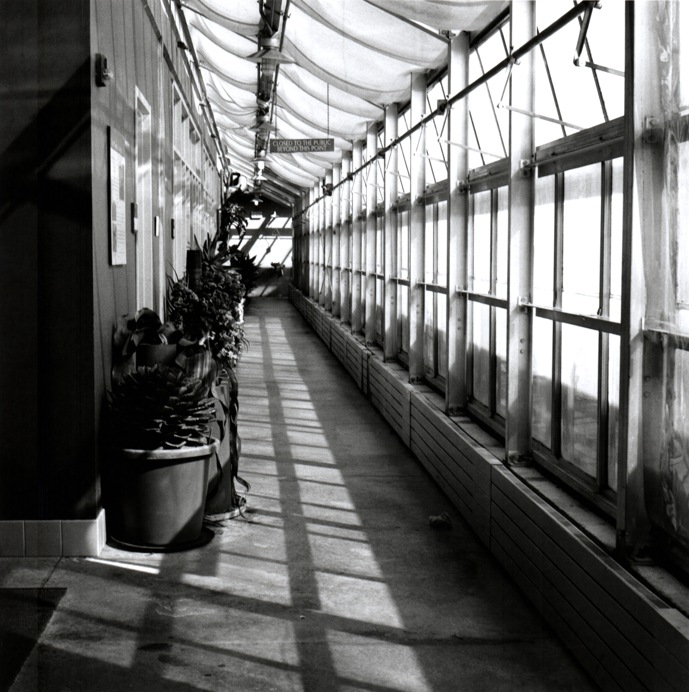 Greenhouse Hallway