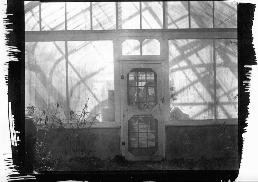 greenhouse