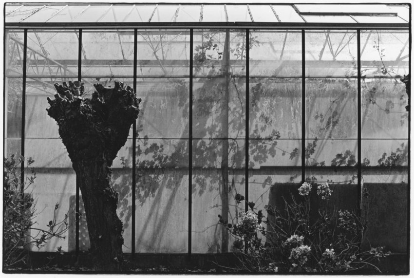 Greenhouse