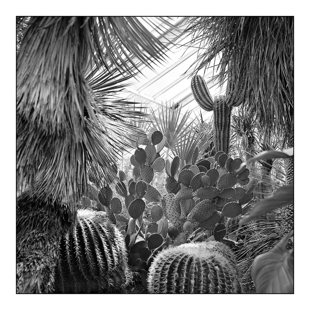 Greenhouse