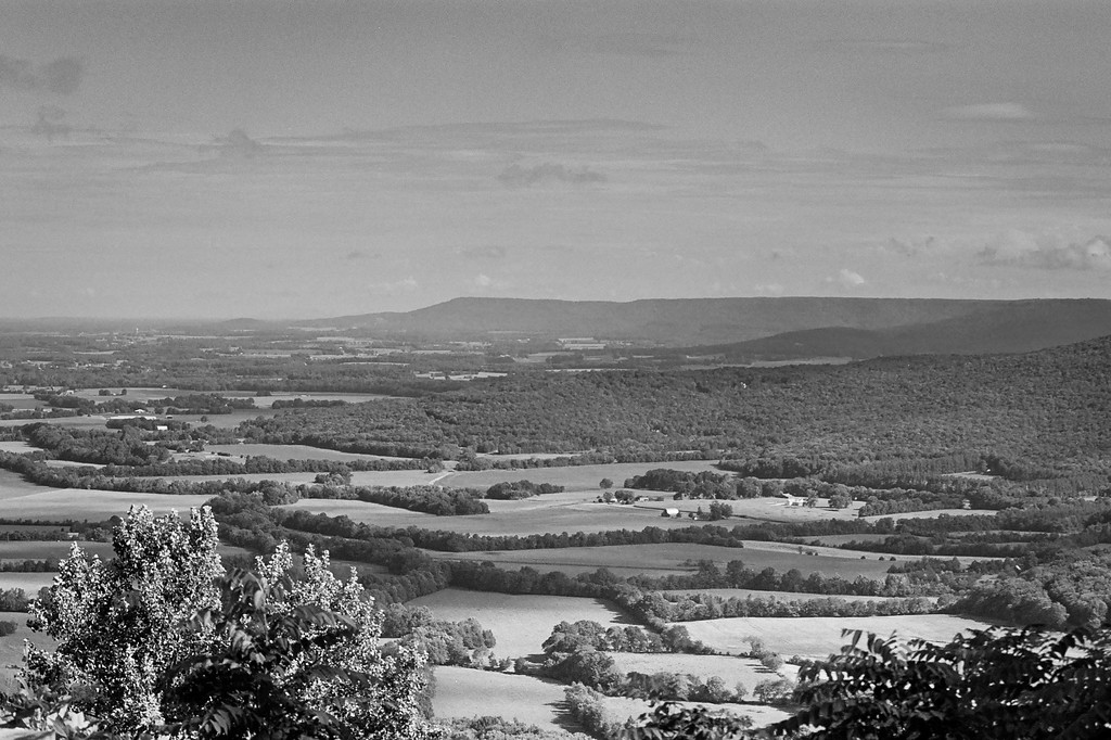 Greens View