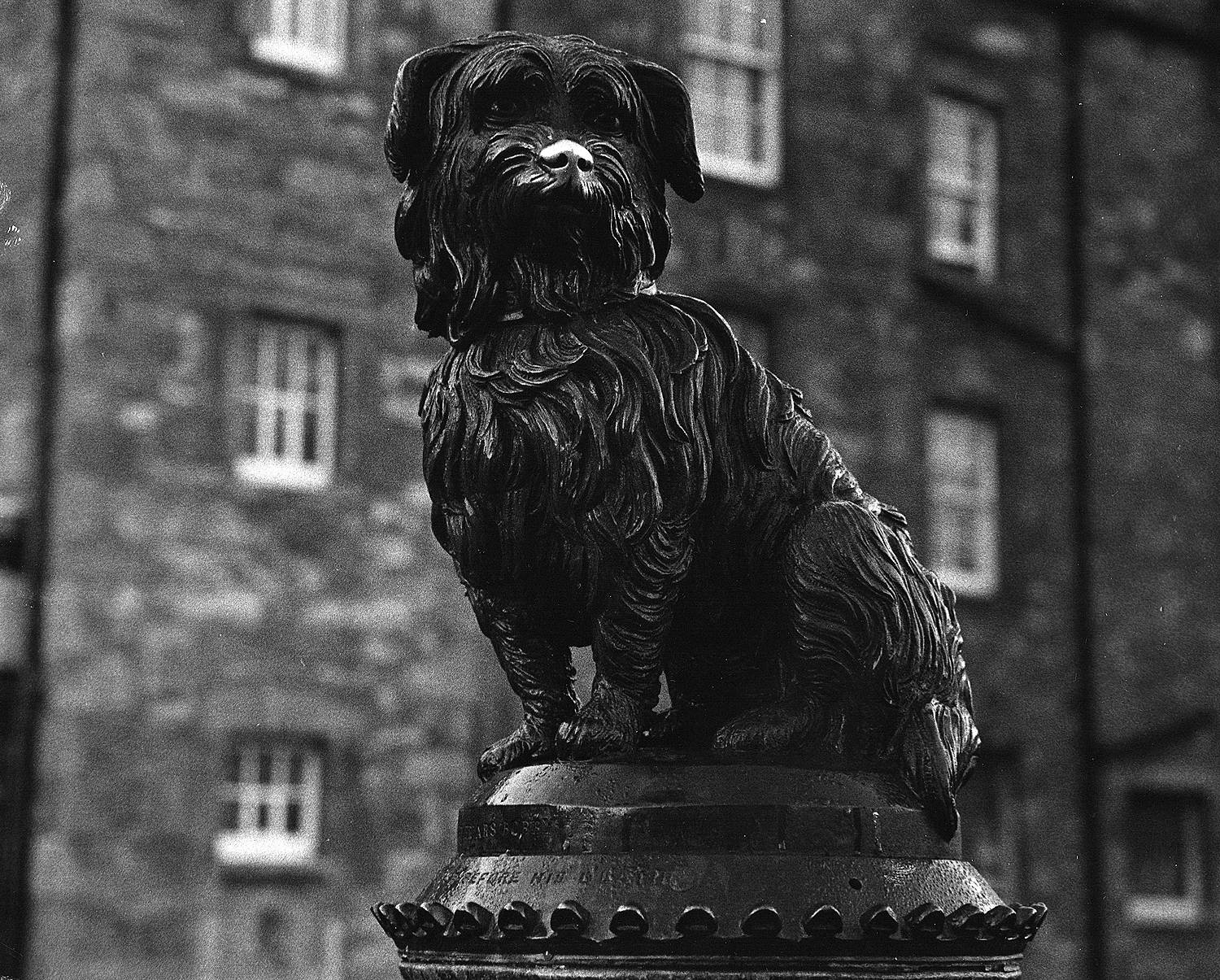 Greyfriars 'Bobby'