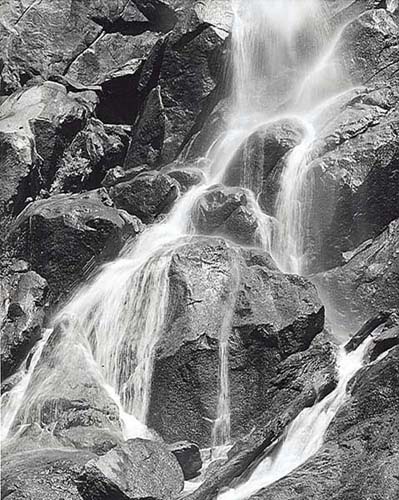Grizzly Fall