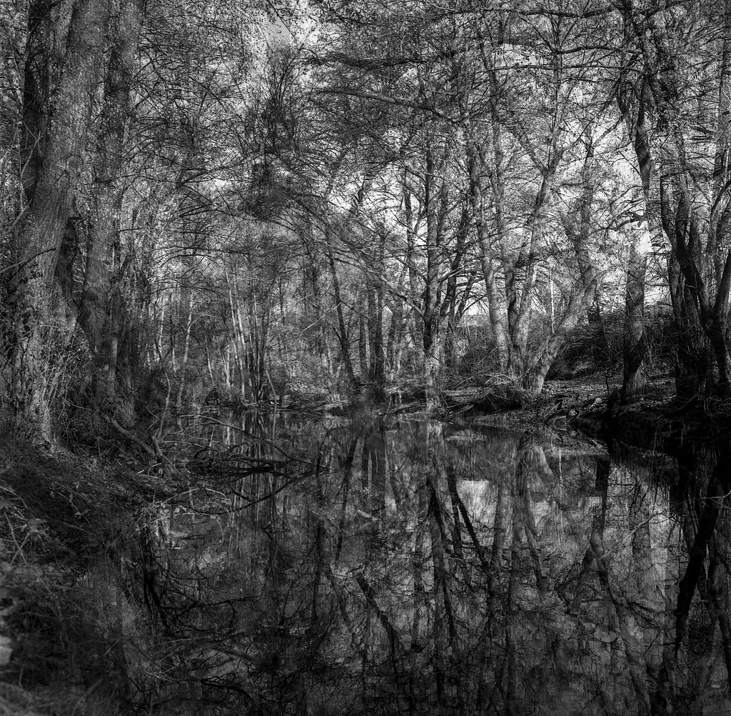 Guadalix river