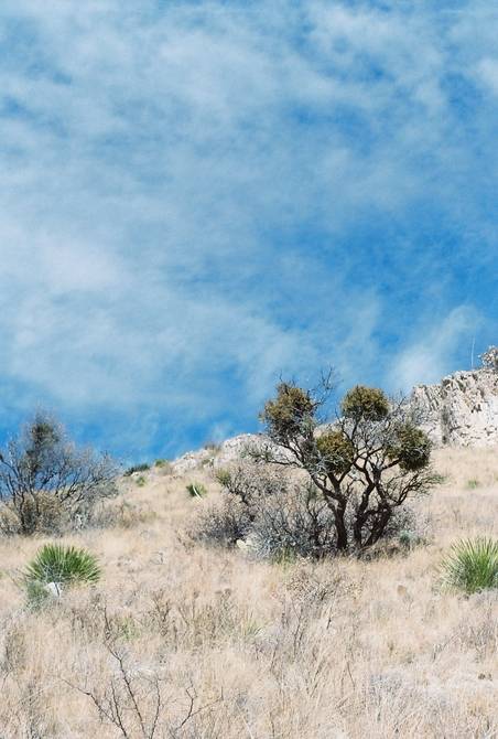 Guadalupe Mountains