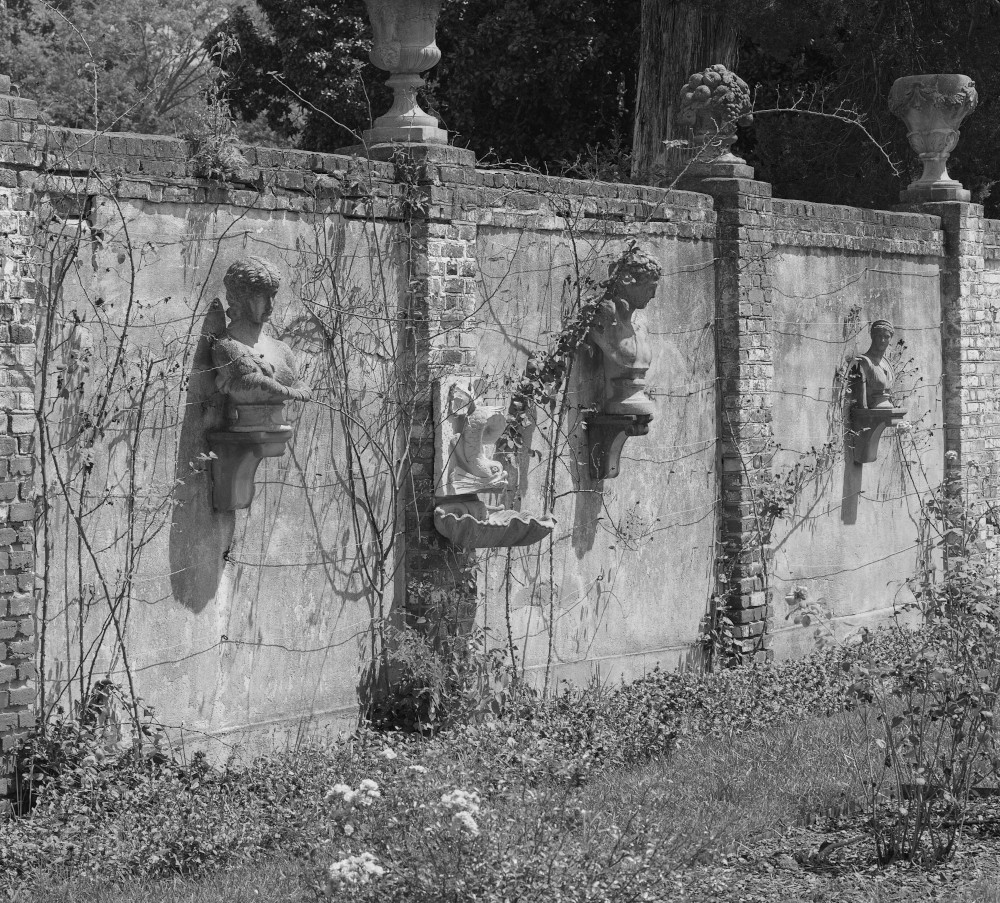 Guardians of the Roses