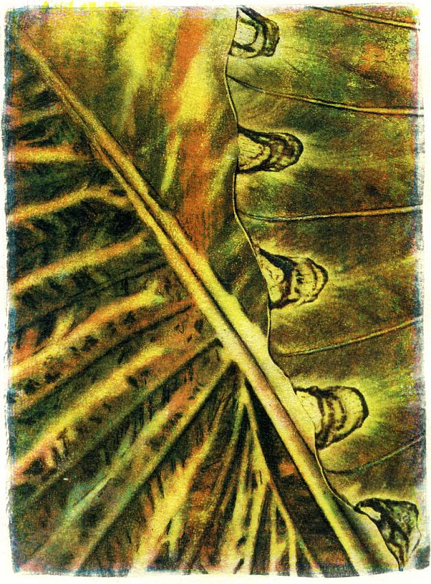 Gum print
