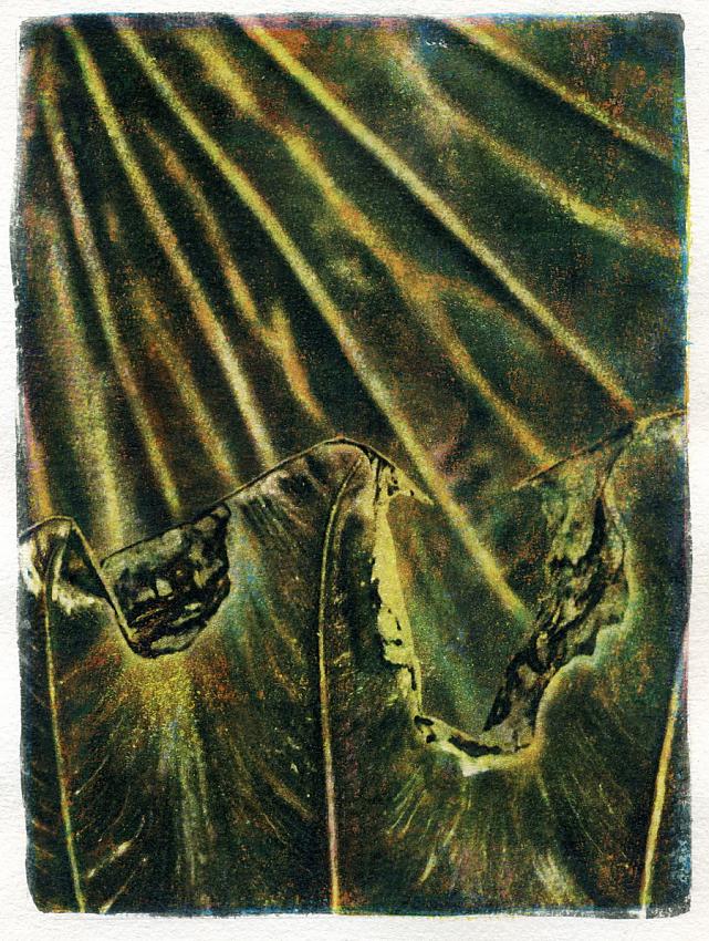Gum print