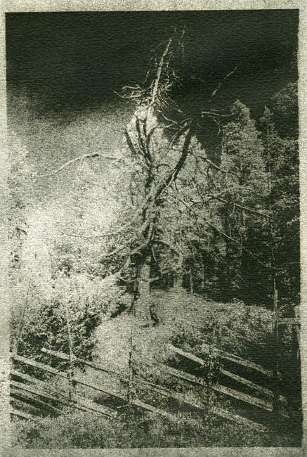 Gumoil experiment
