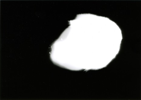 Gusograph 1