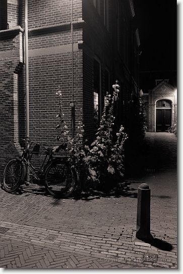 Haarlem By Night