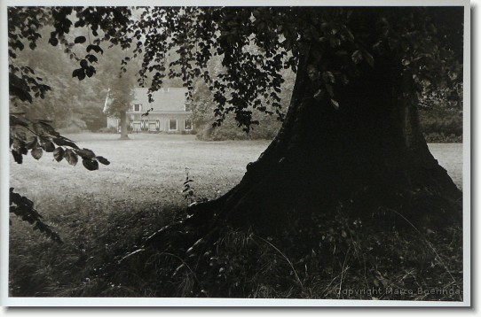 Haarlem Parks