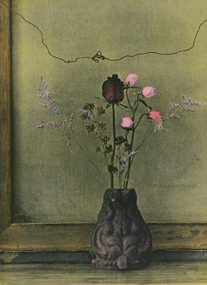 halil's flowers