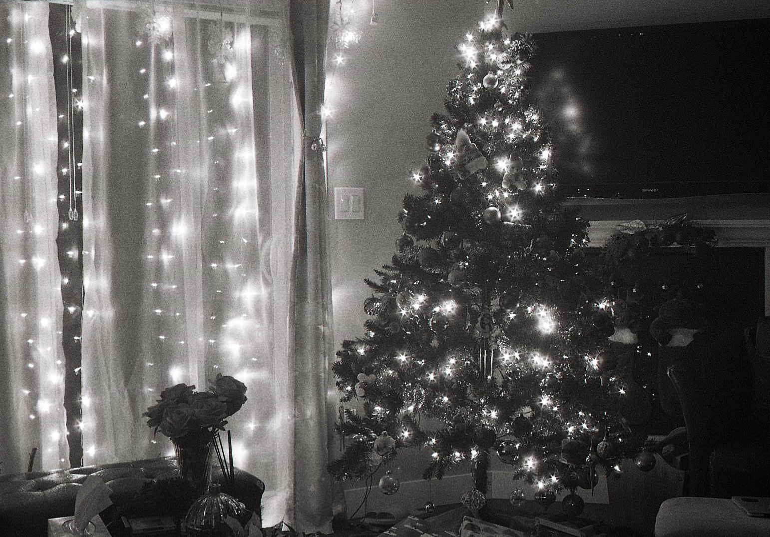 Halina 35X-CHRISTmas