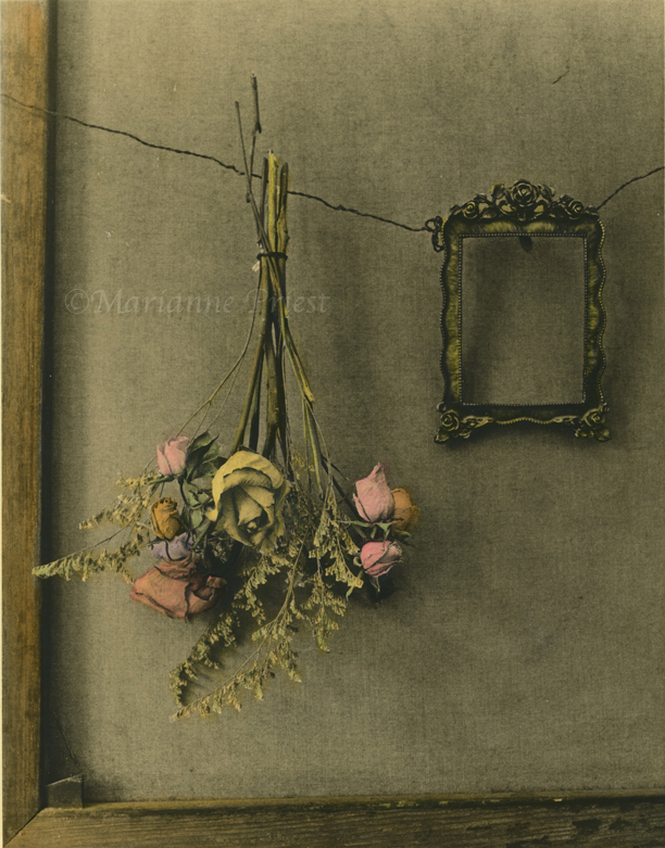 hand colored lith 2